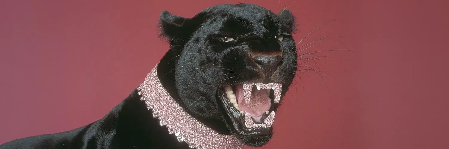 PromptWrk Jaguar